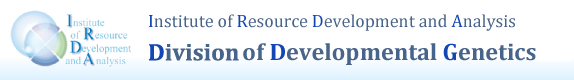 Division of Developmental Genetics, Institute of Resource Development and Analysis